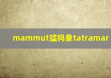 mammut猛犸象tatramar so pant